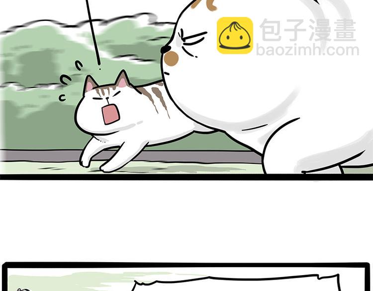 第271话 进击的流浪猫！36