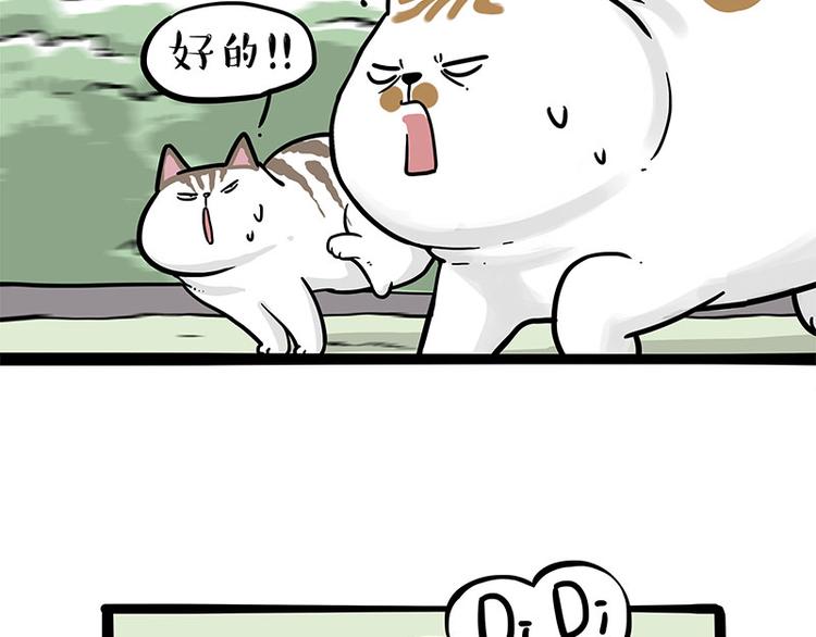 第271话 进击的流浪猫！39