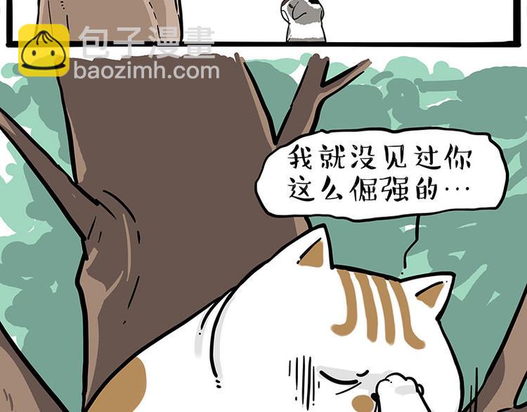 第271话 进击的流浪猫！4