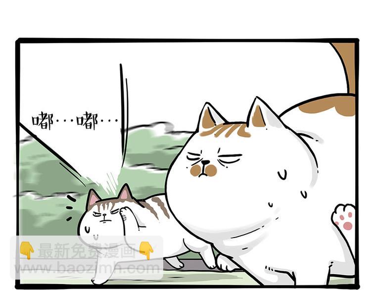 第271话 进击的流浪猫！41