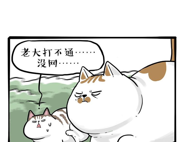 第271话 进击的流浪猫！42