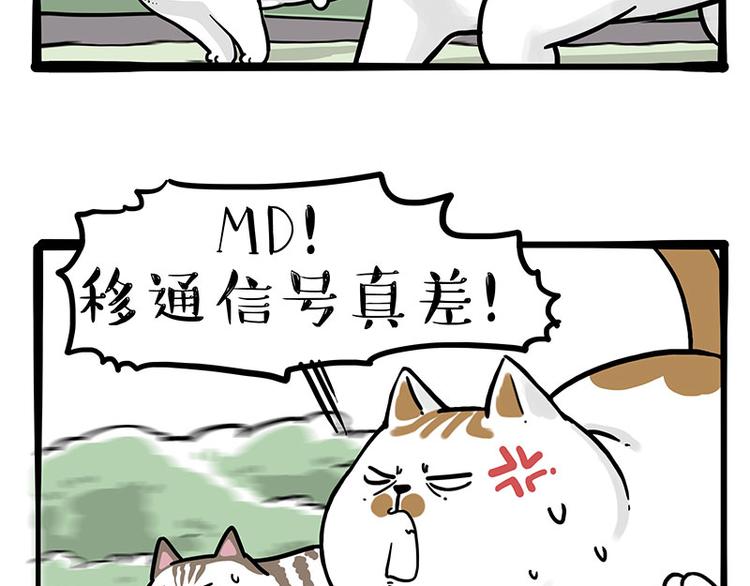 第271话 进击的流浪猫！43