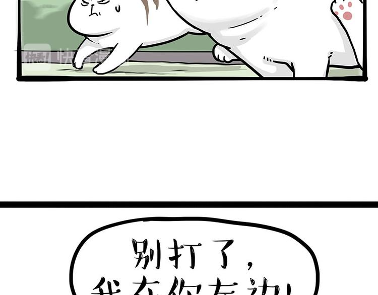 第271话 进击的流浪猫！44