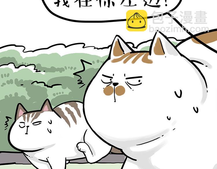 第271话 进击的流浪猫！45