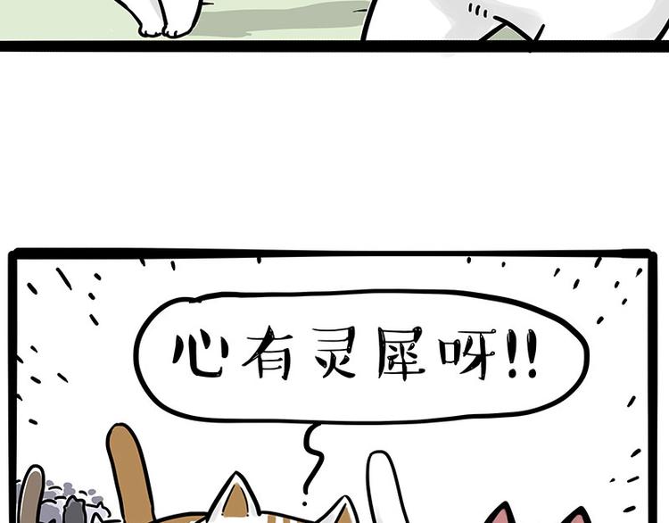第271话 进击的流浪猫！46