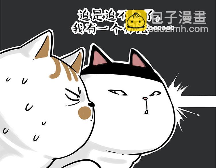 第271话 进击的流浪猫！48