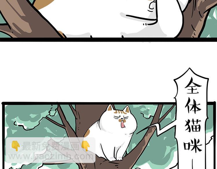 第271话 进击的流浪猫！5