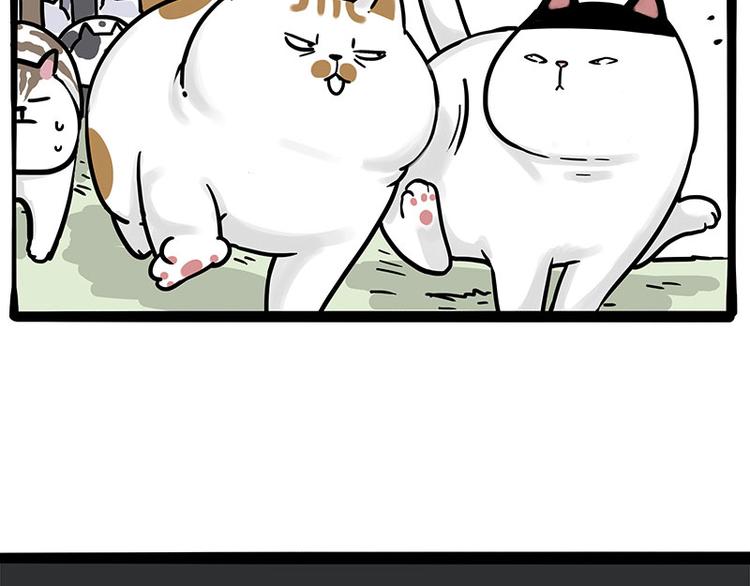 第271话 进击的流浪猫！51
