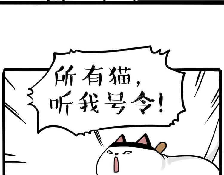 第271话 进击的流浪猫！53
