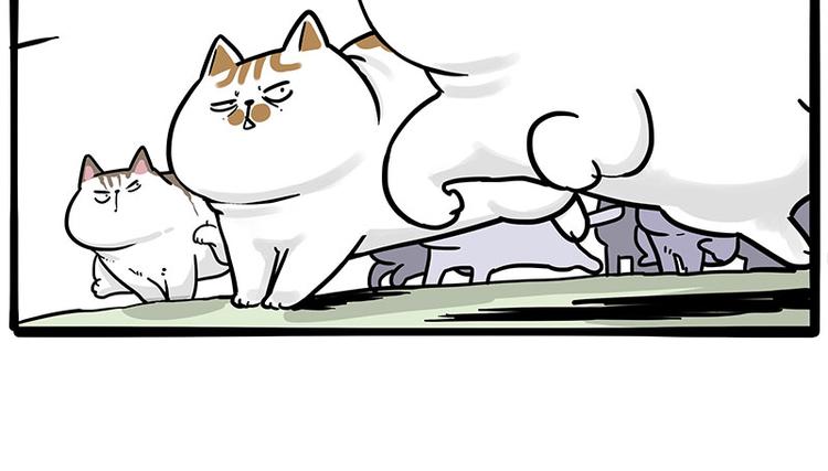 第271话 进击的流浪猫！54