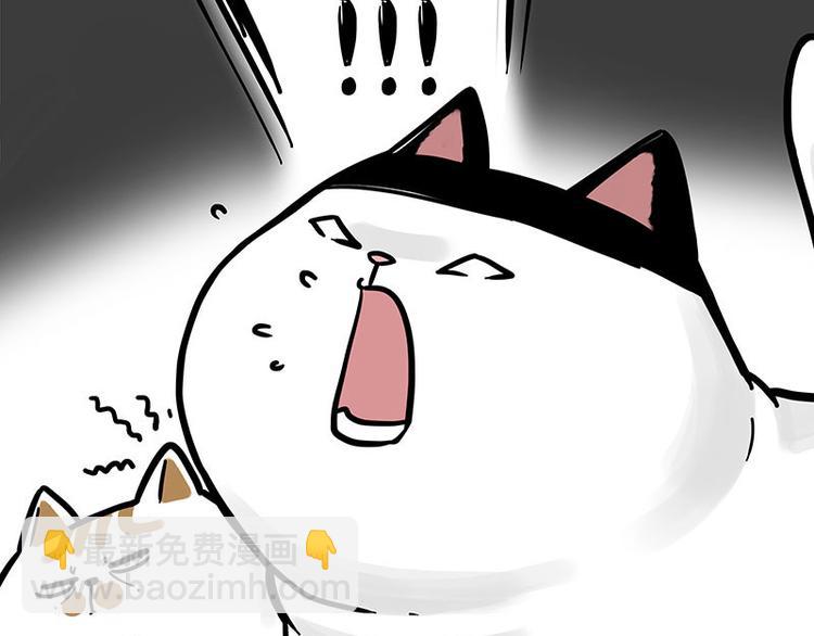 第271话 进击的流浪猫！56