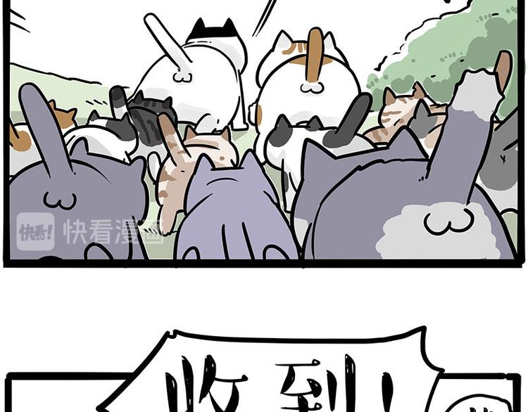 第271话 进击的流浪猫！58