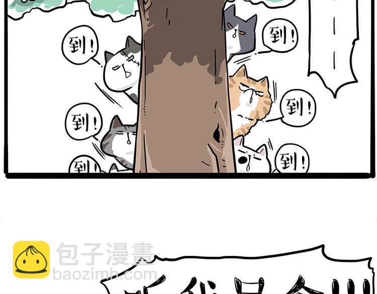 第271话 进击的流浪猫！6