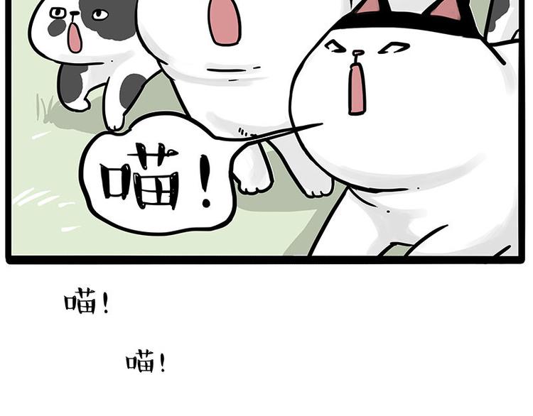 第271话 进击的流浪猫！60