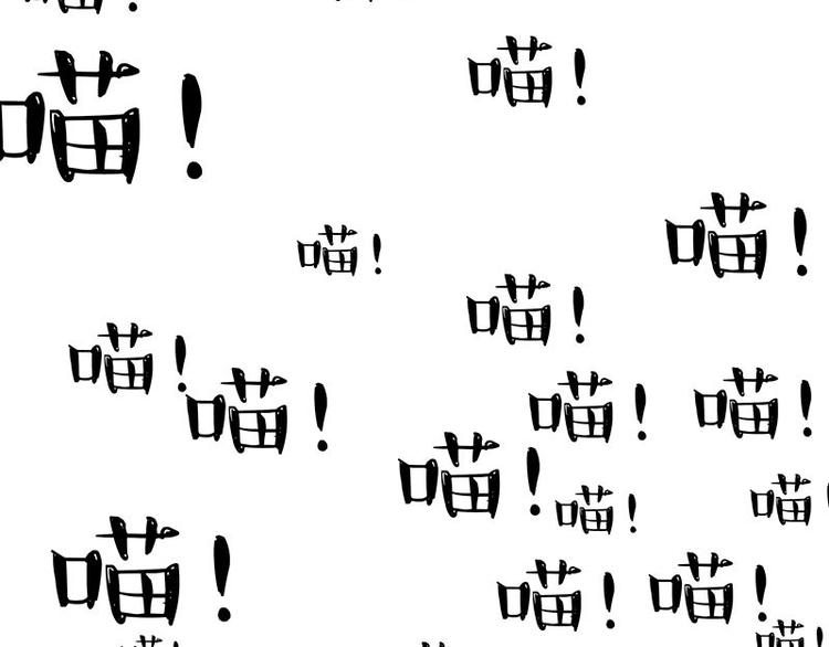 第271话 进击的流浪猫！62