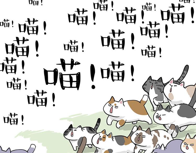 第271话 进击的流浪猫！63