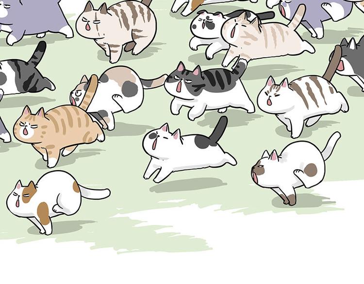 第271话 进击的流浪猫！64