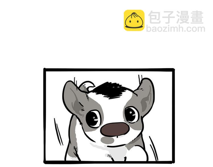 第271话 进击的流浪猫！65