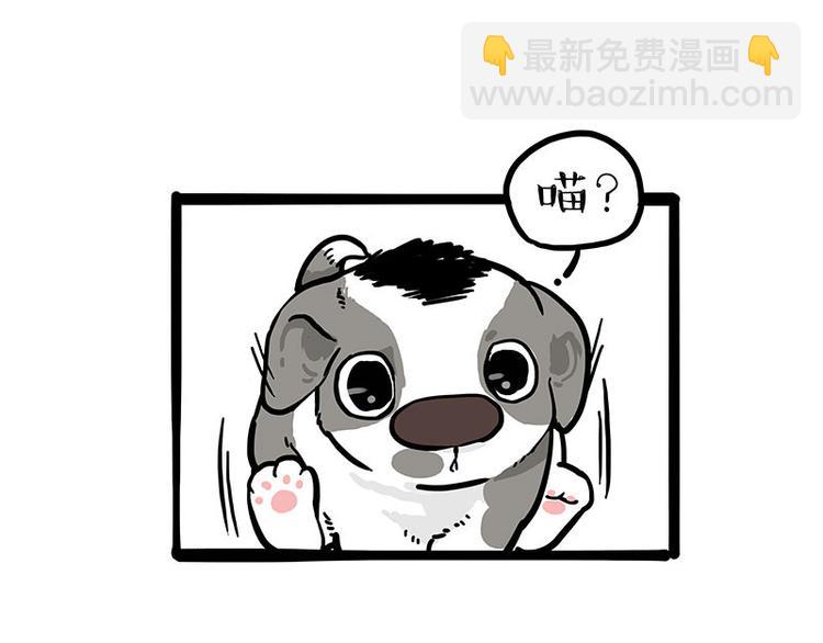 第271话 进击的流浪猫！66