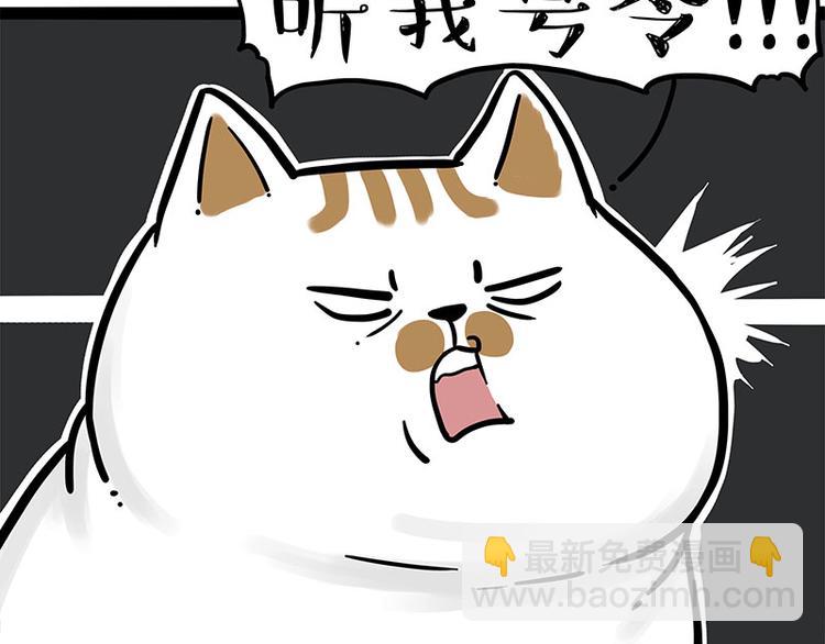 第271话 进击的流浪猫！7