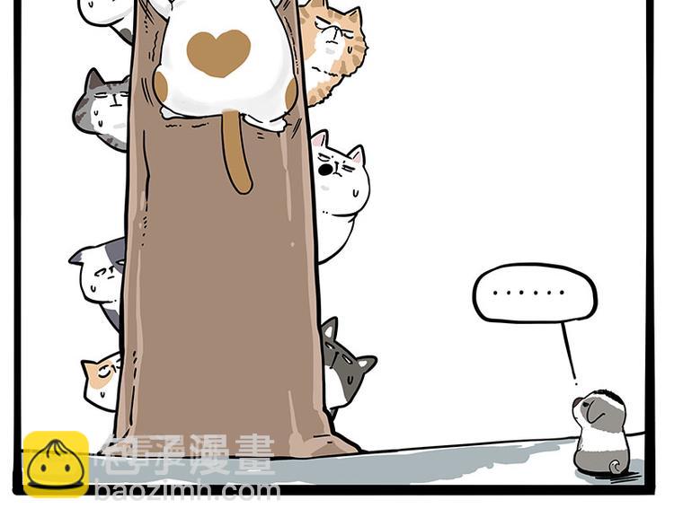 第271话 进击的流浪猫！9