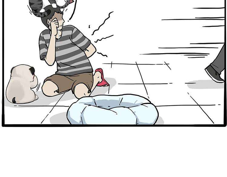 第272话 一定会再见10