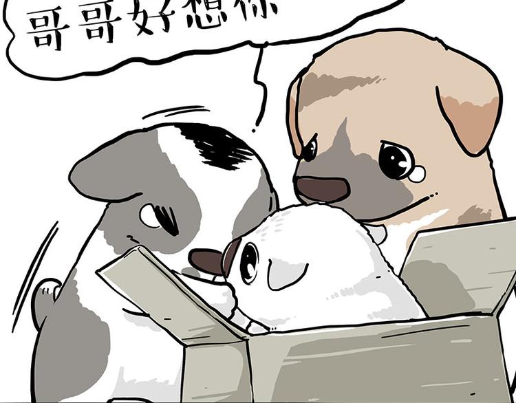 第272话 一定会再见57