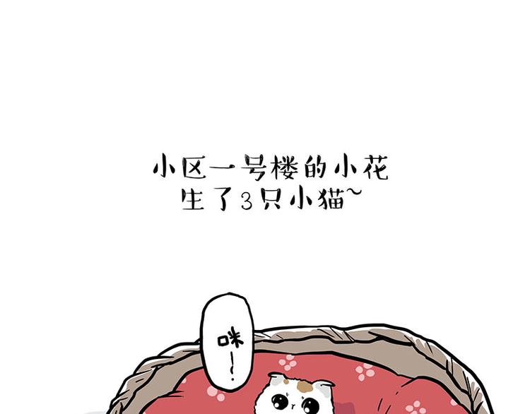 第275话 吾皇过生日了0