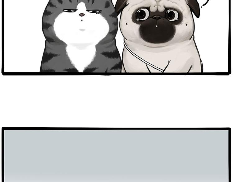 第275话 吾皇过生日了13