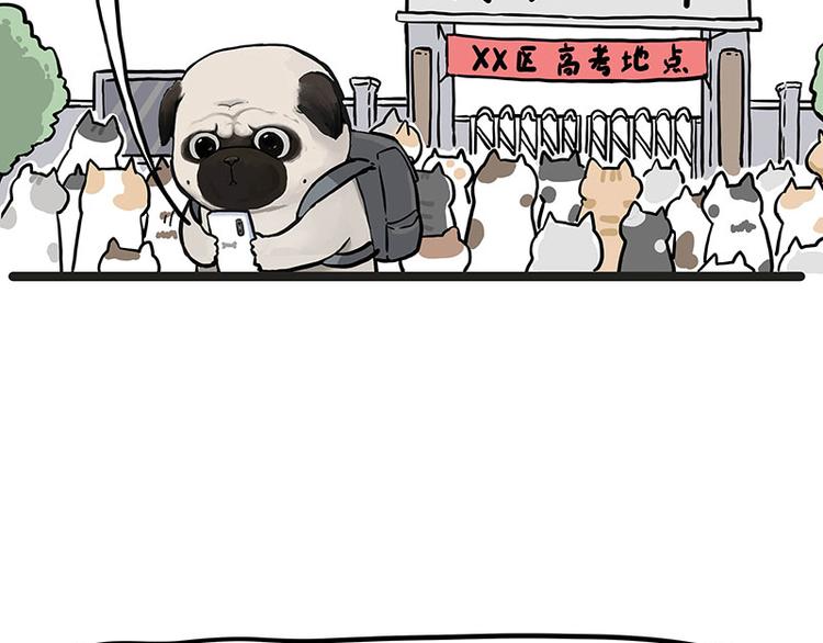 第276话 高考逆袭10