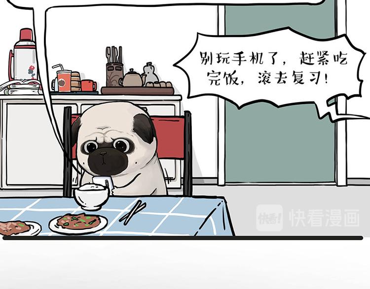 第276话 高考逆袭6