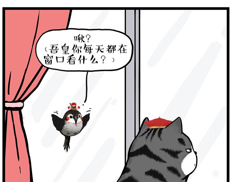 第277话 猫斗猫0