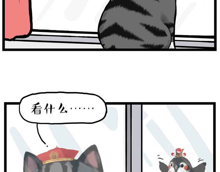 第277话 猫斗猫1