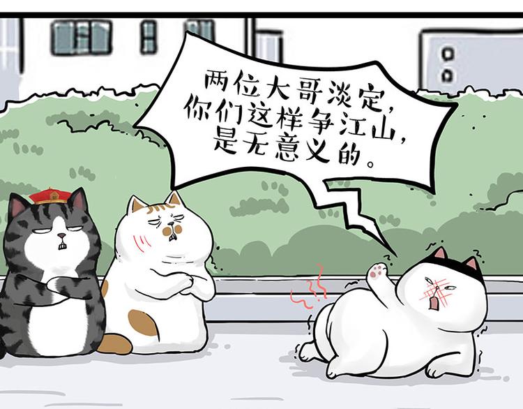 第277话 猫斗猫10
