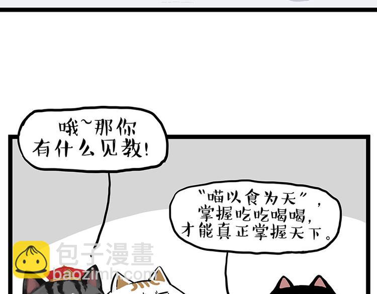 第277话 猫斗猫11
