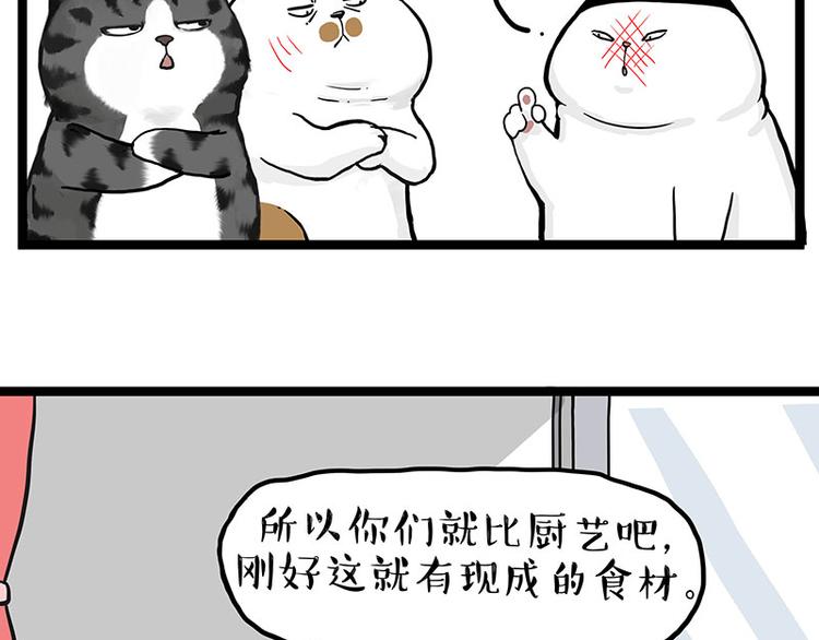 第277话 猫斗猫12