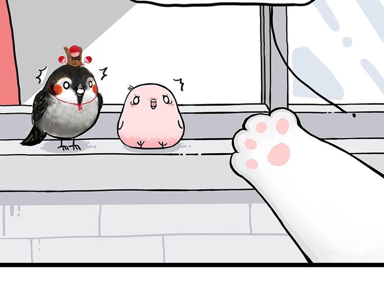 第277话 猫斗猫13