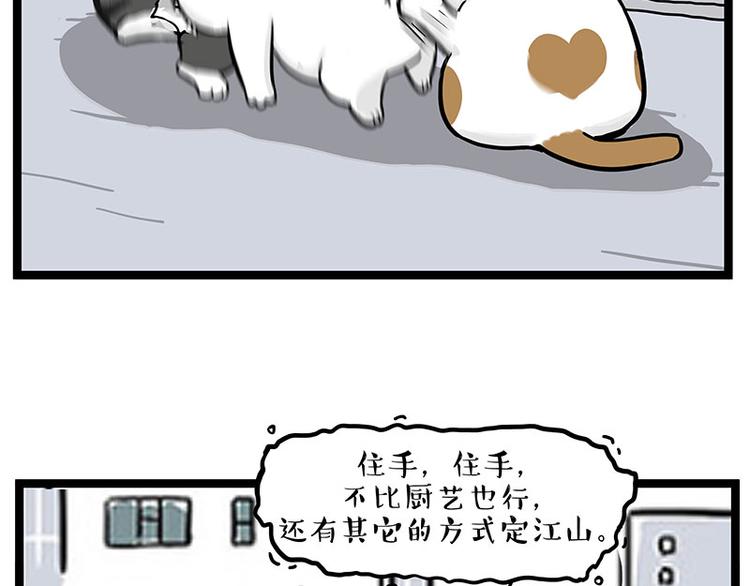 第277话 猫斗猫15