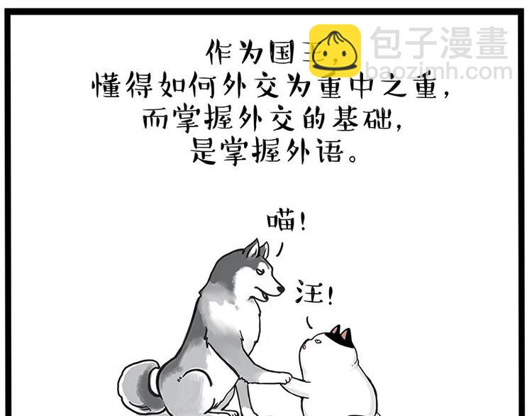 第277话 猫斗猫17