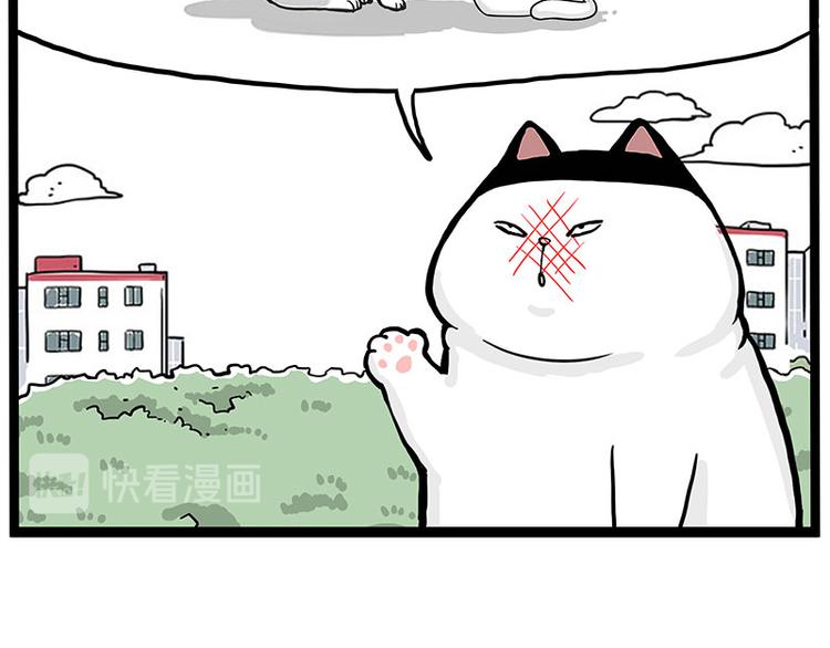 第277话 猫斗猫18
