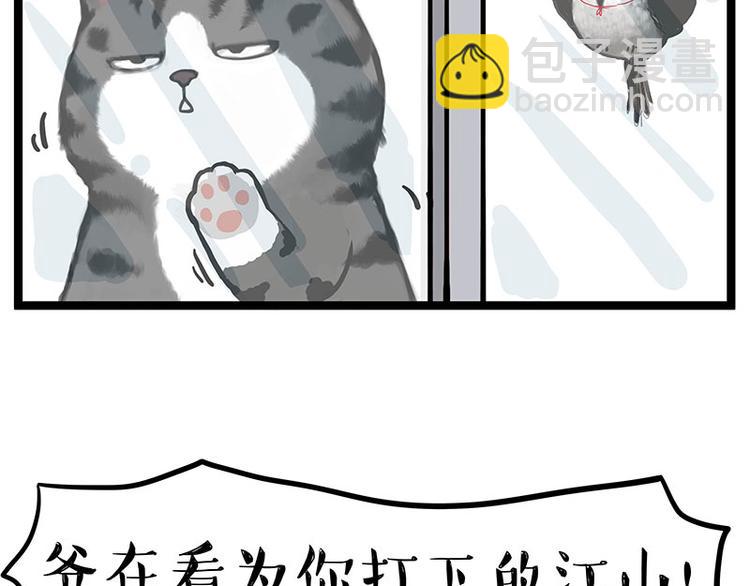 第277话 猫斗猫2