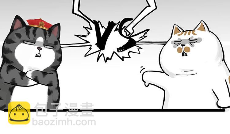 第277话 猫斗猫20
