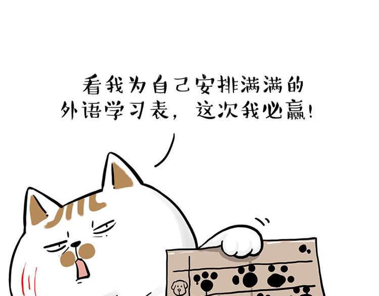 第277话 猫斗猫21