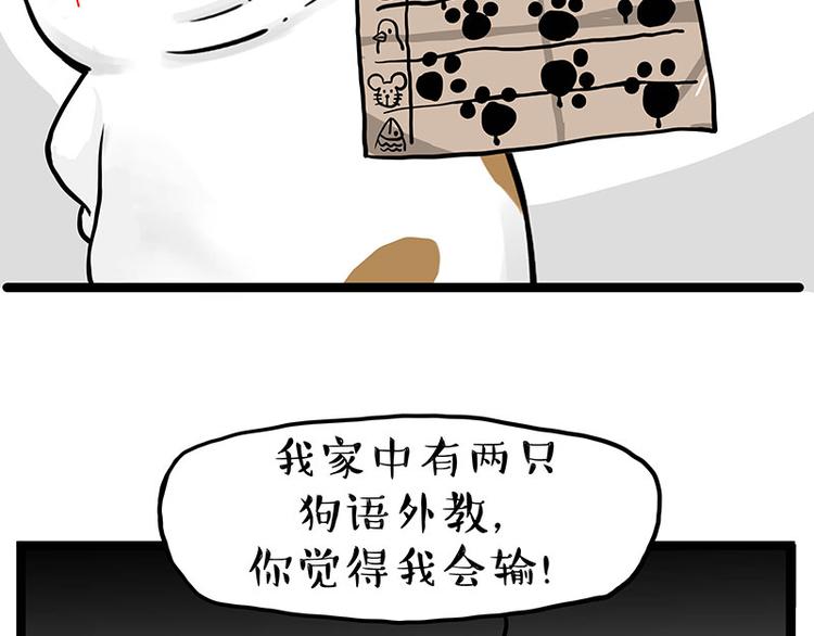 第277话 猫斗猫22