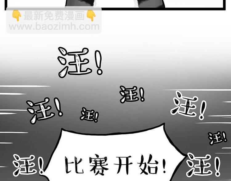 第277话 猫斗猫24