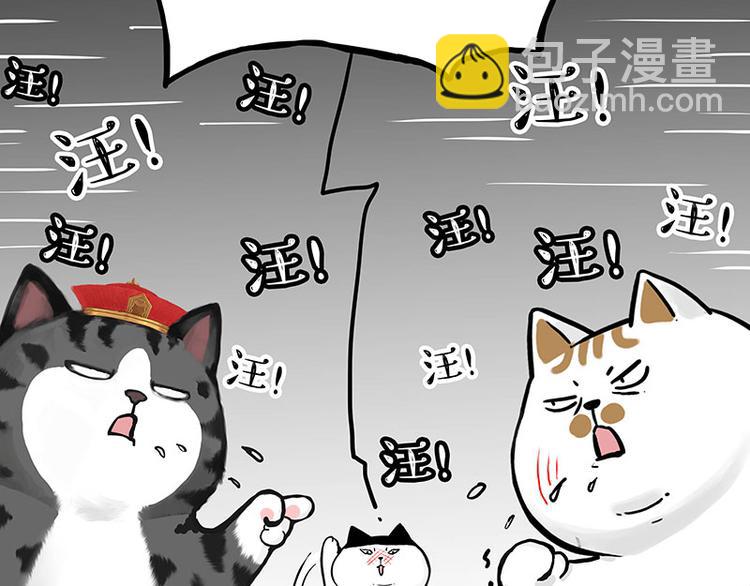 第277话 猫斗猫25