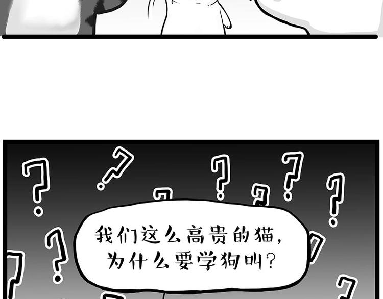 第277话 猫斗猫26