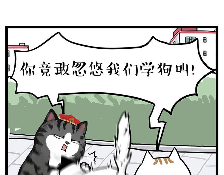 第277话 猫斗猫28