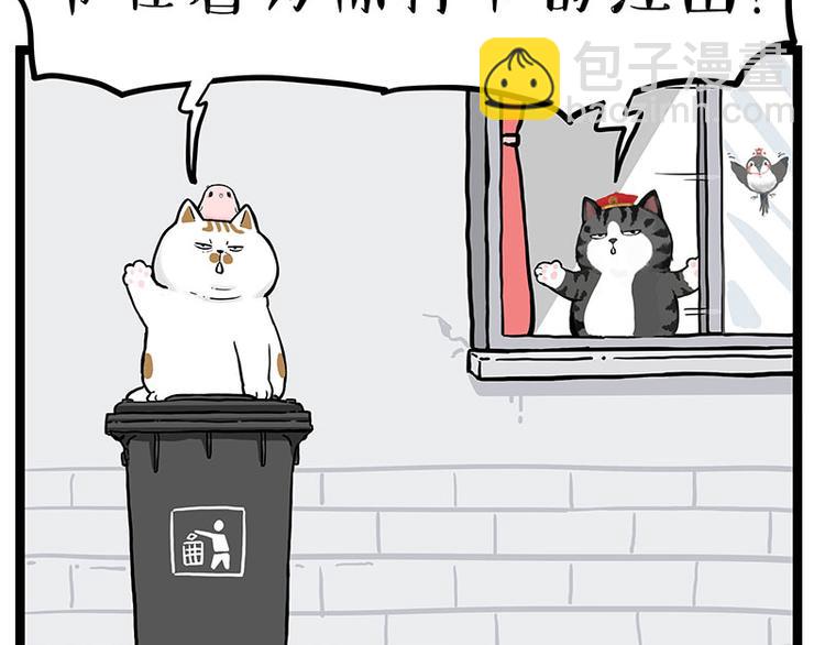 第277话 猫斗猫3