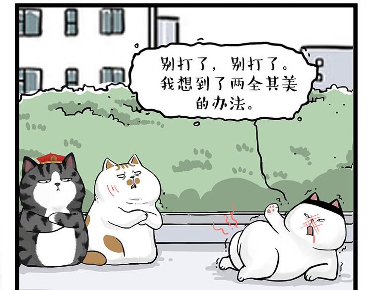 第277话 猫斗猫30